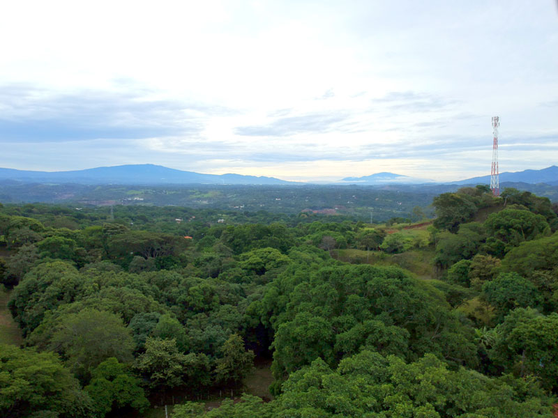 tierra-verde-atenas